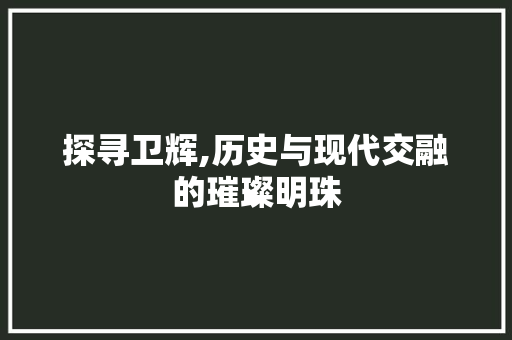 探寻卫辉,历史与现代交融的璀璨明珠