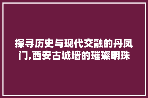 探寻历史与现代交融的丹凤门,西安古城墙的璀璨明珠