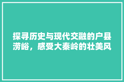 探寻历史与现代交融的户县涝峪，感受大秦岭的壮美风光