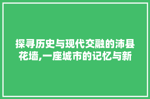 探寻历史与现代交融的沛县花墙,一座城市的记忆与新生