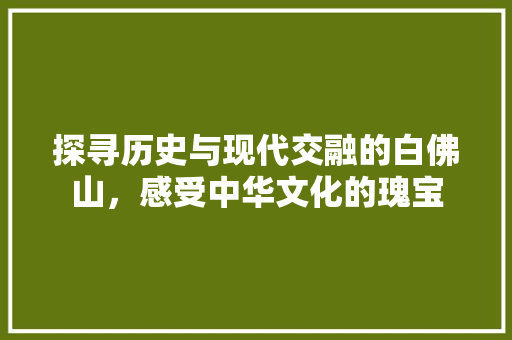 探寻历史与现代交融的白佛山，感受中华文化的瑰宝