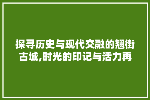 探寻历史与现代交融的翘街古城,时光的印记与活力再现