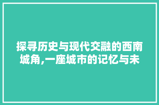 探寻历史与现代交融的西南城角,一座城市的记忆与未来