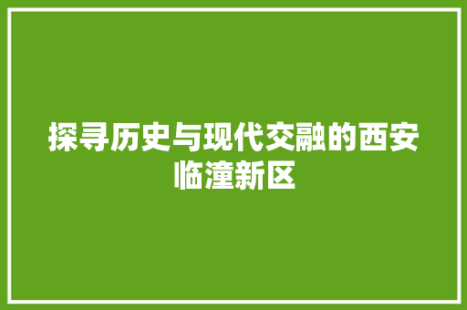 探寻历史与现代交融的西安临潼新区