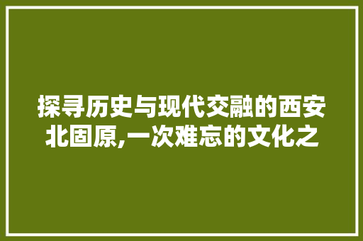 探寻历史与现代交融的西安北固原,一次难忘的文化之旅