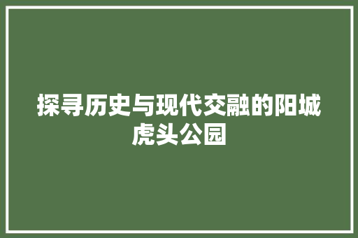 探寻历史与现代交融的阳城虎头公园