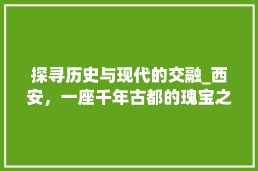 探寻历史与现代的交融_西安，一座千年古都的瑰宝之旅