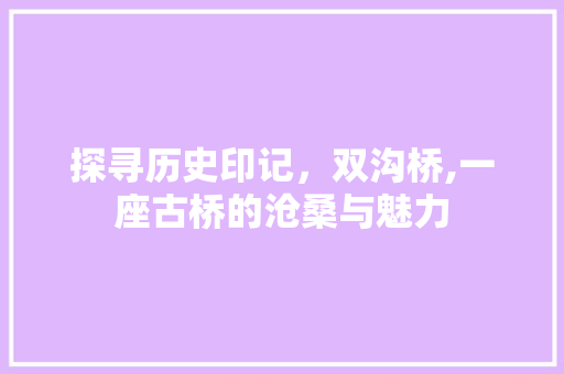 探寻历史印记，双沟桥,一座古桥的沧桑与魅力