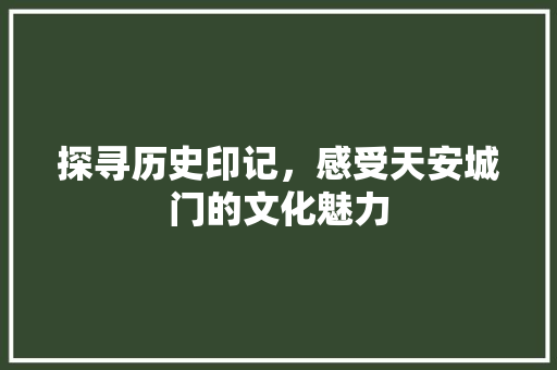 探寻历史印记，感受天安城门的文化魅力