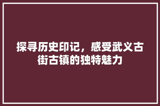 探寻历史印记，感受武义古街古镇的独特魅力