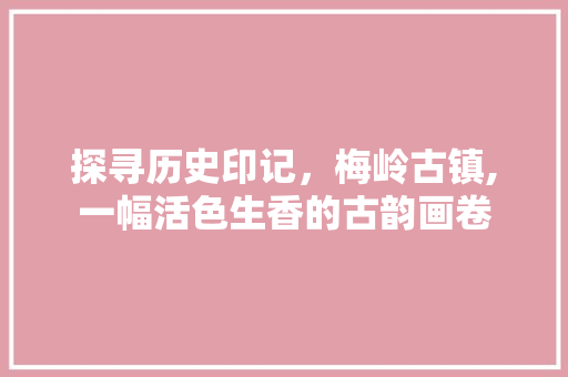 探寻历史印记，梅岭古镇,一幅活色生香的古韵画卷