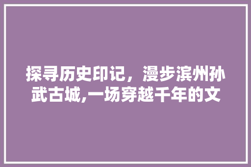 探寻历史印记，漫步滨州孙武古城,一场穿越千年的文化之旅