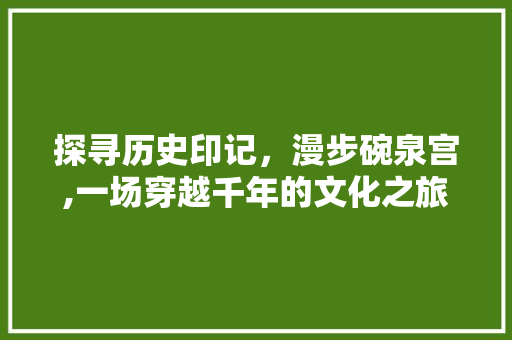 探寻历史印记，漫步碗泉宫,一场穿越千年的文化之旅