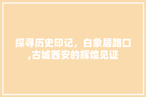 探寻历史印记，白象居路口,古城西安的辉煌见证