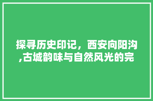 探寻历史印记，西安向阳沟,古城韵味与自然风光的完美融合