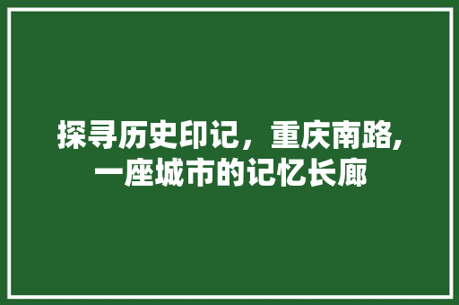 探寻历史印记，重庆南路,一座城市的记忆长廊