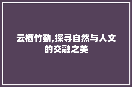 云栖竹劲,探寻自然与人文的交融之美  第1张