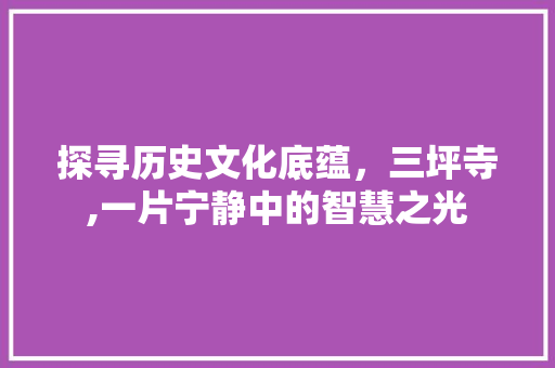 探寻历史文化底蕴，三坪寺,一片宁静中的智慧之光