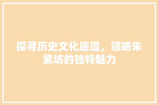 探寻历史文化底蕴，领略朱紫坊的独特魅力