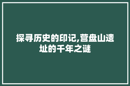 探寻历史的印记,营盘山遗址的千年之谜  第1张