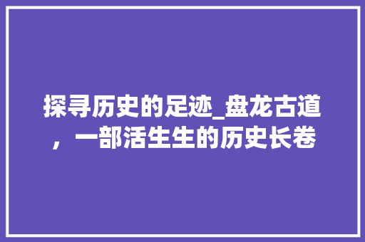 探寻历史的足迹_盘龙古道，一部活生生的历史长卷