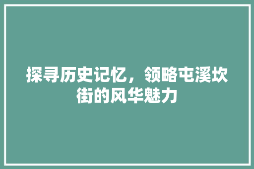 探寻历史记忆，领略屯溪坎街的风华魅力