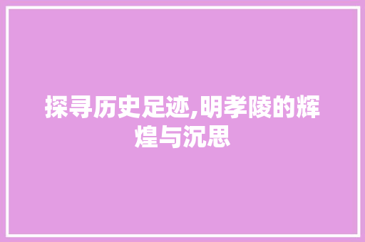 探寻历史足迹,明孝陵的辉煌与沉思