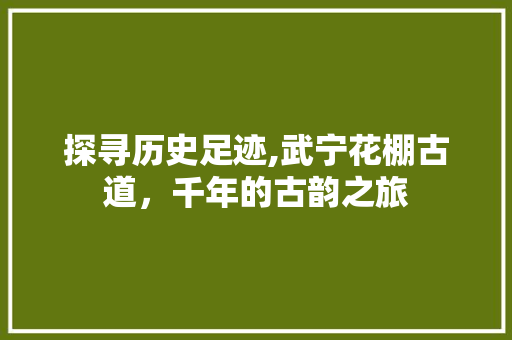 探寻历史足迹,武宁花棚古道，千年的古韵之旅