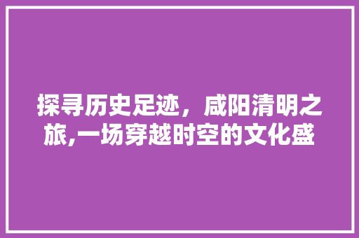 探寻历史足迹，咸阳清明之旅,一场穿越时空的文化盛宴