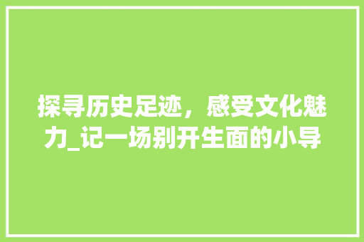 探寻历史足迹，感受文化魅力_记一场别开生面的小导游介绍景点比赛