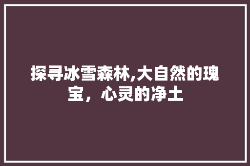 探寻冰雪森林,大自然的瑰宝，心灵的净土