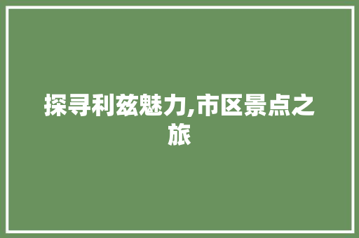 探寻利兹魅力,市区景点之旅