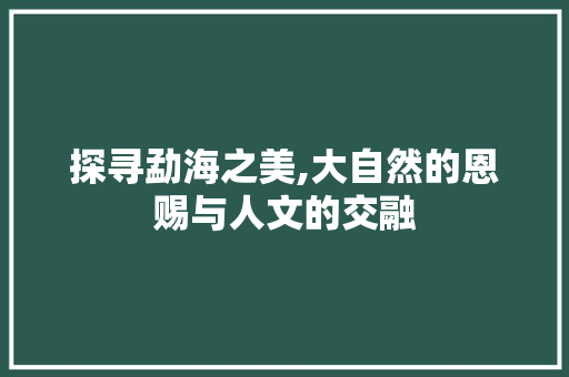 探寻勐海之美,大自然的恩赐与人文的交融