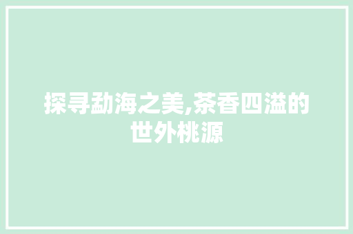 探寻勐海之美,茶香四溢的世外桃源