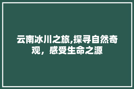 云南冰川之旅,探寻自然奇观，感受生命之源