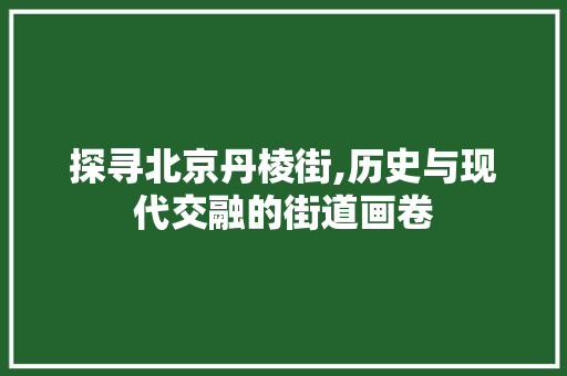 探寻北京丹棱街,历史与现代交融的街道画卷