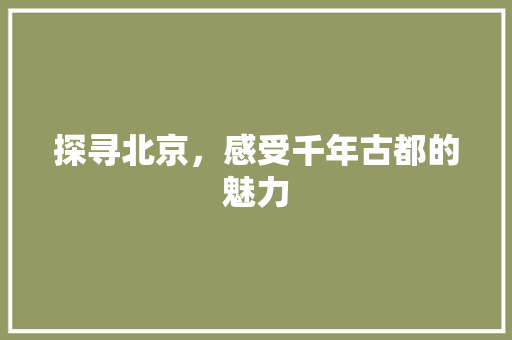 探寻北京，感受千年古都的魅力