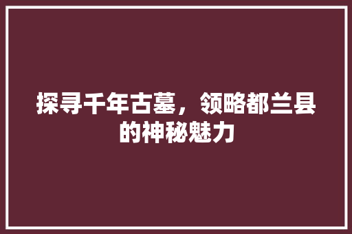 探寻千年古墓，领略都兰县的神秘魅力