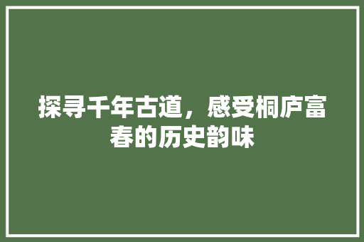 探寻千年古道，感受桐庐富春的历史韵味