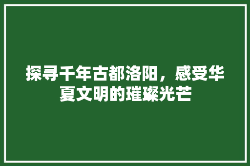 探寻千年古都洛阳，感受华夏文明的璀璨光芒