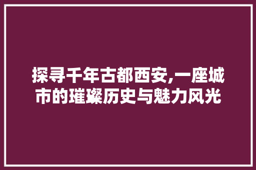 探寻千年古都西安,一座城市的璀璨历史与魅力风光