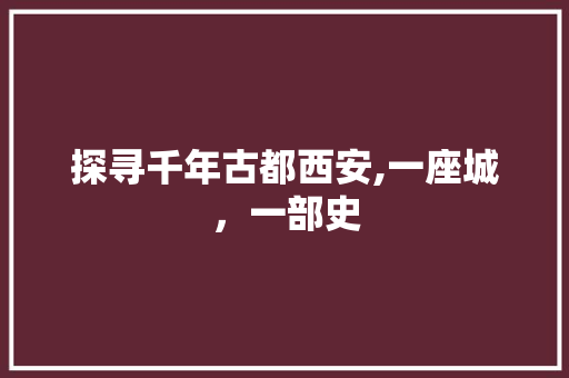 探寻千年古都西安,一座城，一部史  第1张