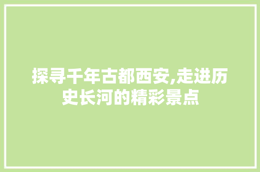 探寻千年古都西安,走进历史长河的精彩景点