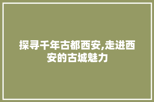 探寻千年古都西安,走进西安的古城魅力