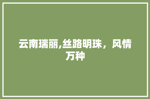 云南瑞丽,丝路明珠，风情万种