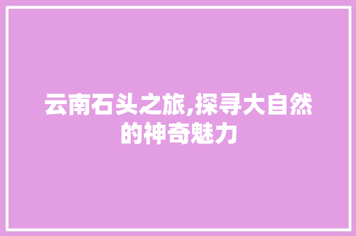 云南石头之旅,探寻大自然的神奇魅力