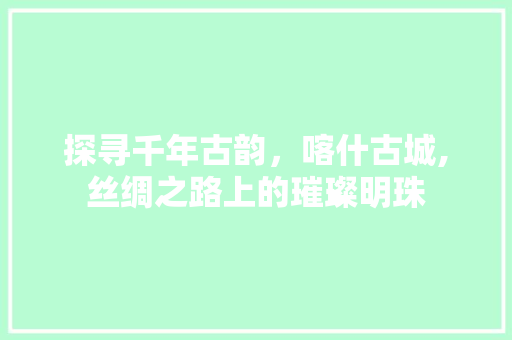 探寻千年古韵，喀什古城,丝绸之路上的璀璨明珠