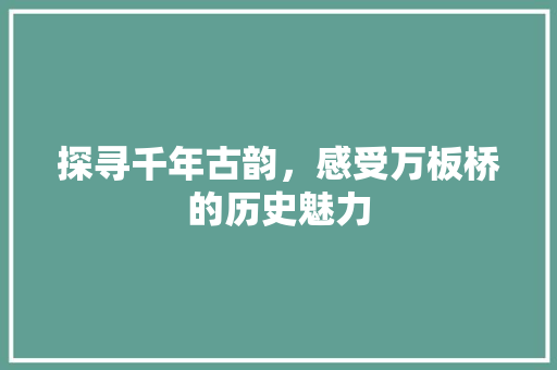 探寻千年古韵，感受万板桥的历史魅力  第1张