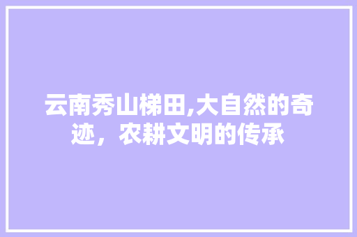 云南秀山梯田,大自然的奇迹，农耕文明的传承