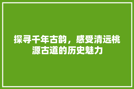 探寻千年古韵，感受清远桃源古道的历史魅力